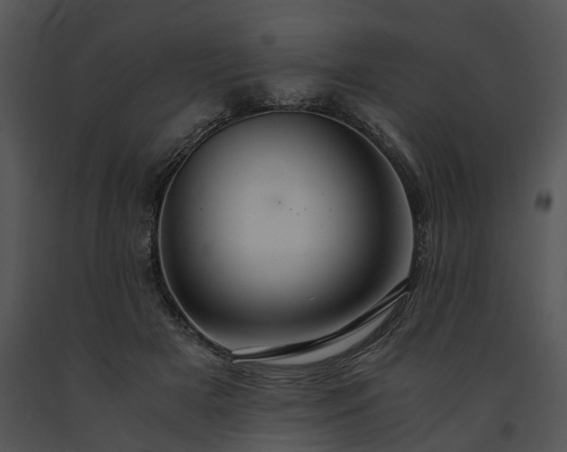 X0000091680505200708301523