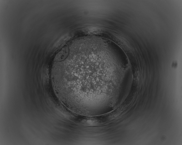 X0000091680506200708301523