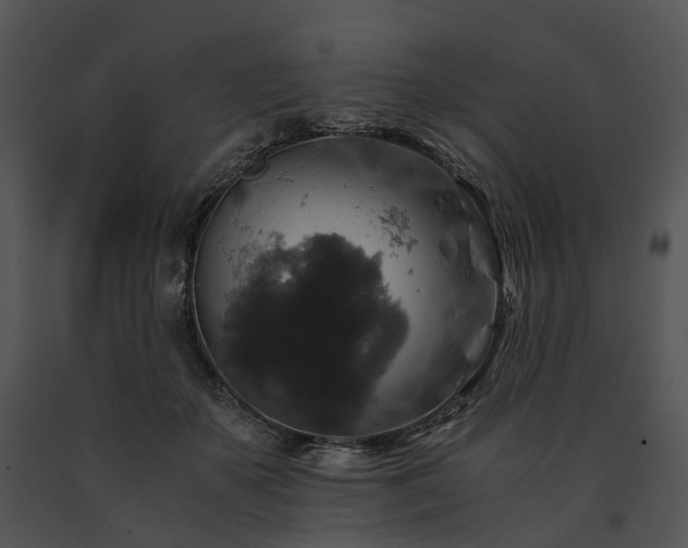 X0000091680507200708301523