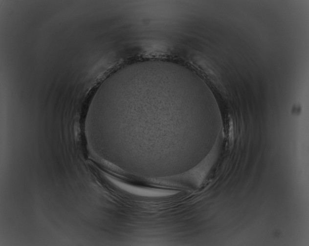 X0000091680508200708301522