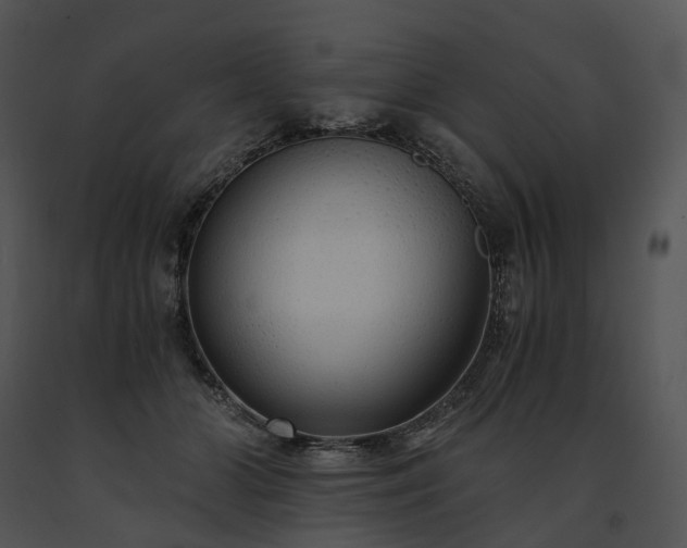 X0000091680510200708301522