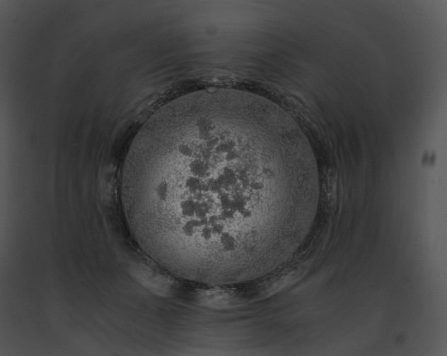 X0000091680511200708301522