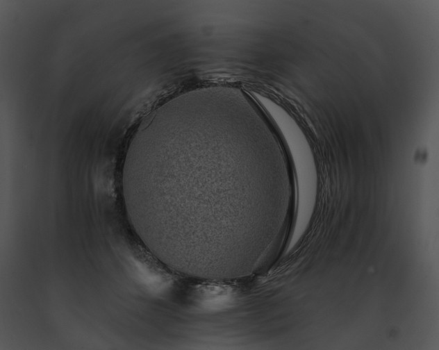 X0000091680512200708301522