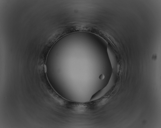 X0000091680513200708301522