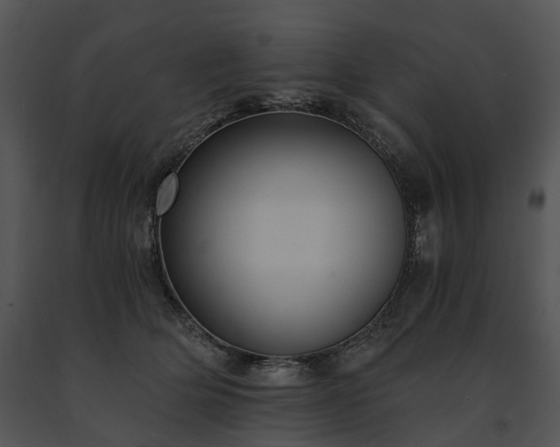 X0000091680514200708301522