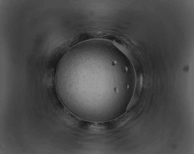 X0000091680515200708301522
