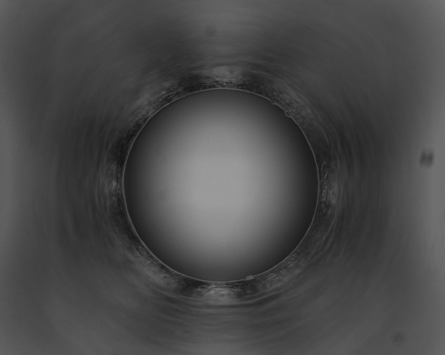 X0000091680518200708301522