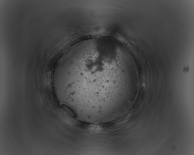 X0000091680519200708301522