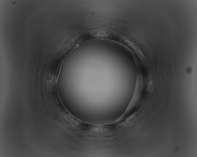 X0000091680521200708301522