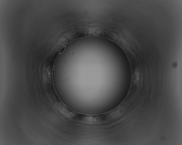 X0000091680522200708301522