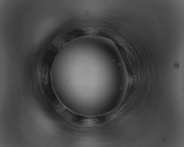 X0000091680525200708301522