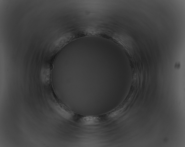 X0000091680526200708301522