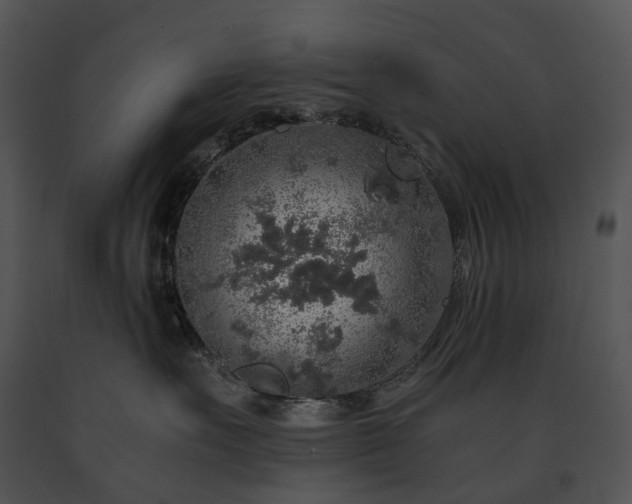 X0000091680527200708301522