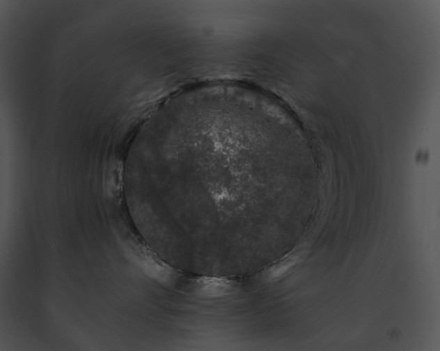 X0000091680528200708301522