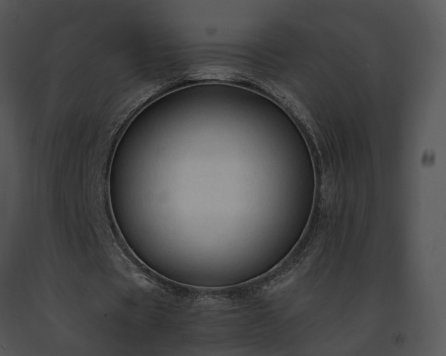 X0000091680529200708301521