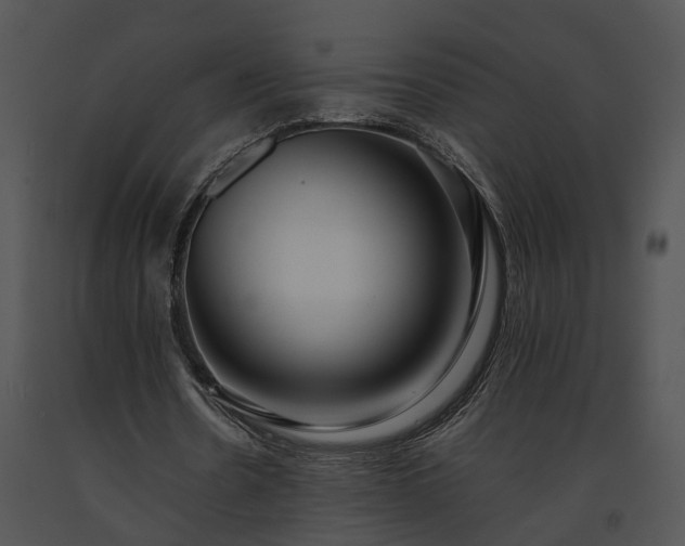 X0000091680530200708301521