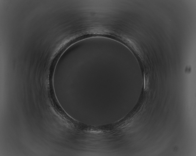 X0000091680531200708301522