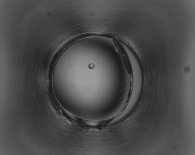 X0000091680532200708301522