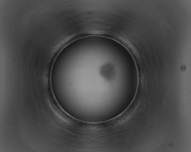 X0000091680533200708301522