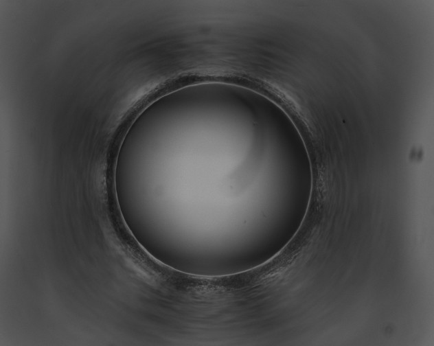 X0000091680535200708301522