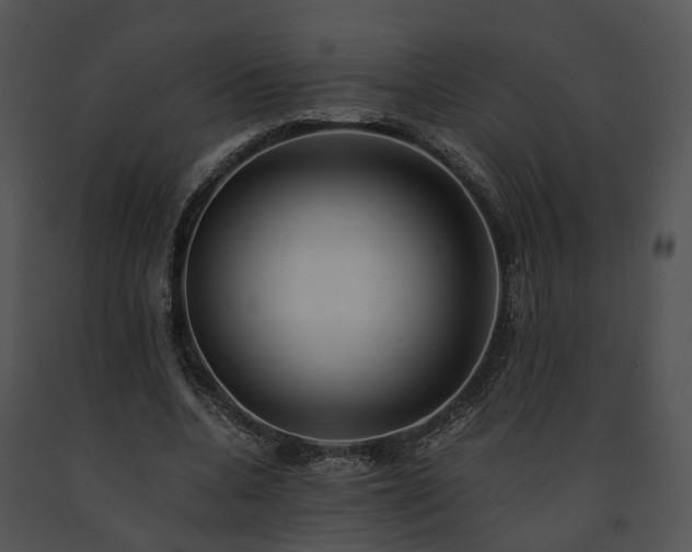 X0000091680536200708301522