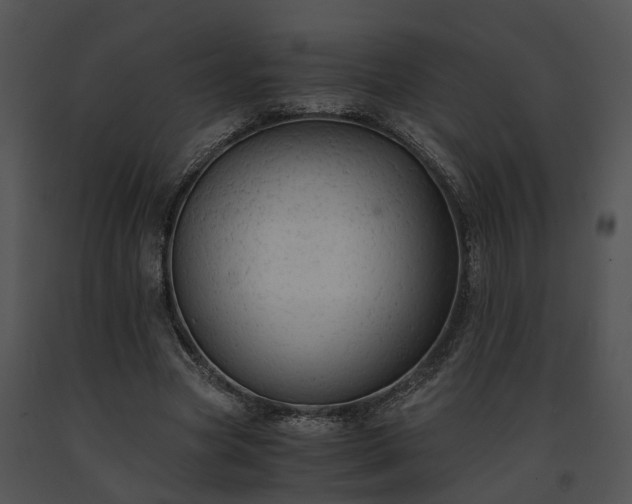 X0000091680537200708301522