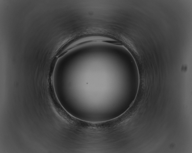 X0000091680538200708301522