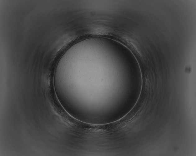 X0000091680539200708301522