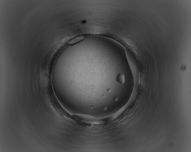 X0000091680540200708301522