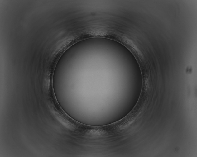 X0000091680541200708301522