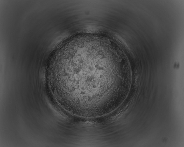 X0000091680542200708301522