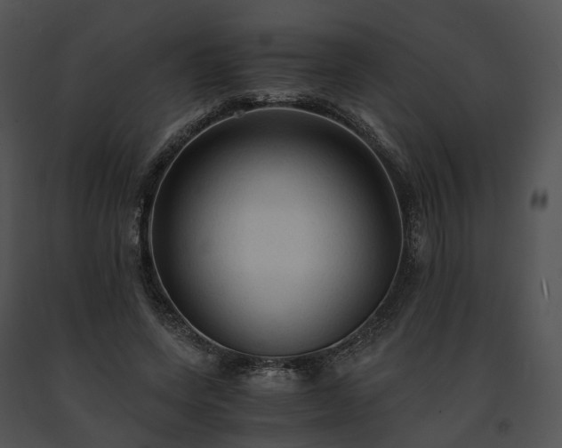 X0000091680543200708301522