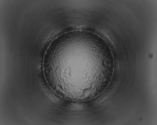 X0000091680545200708301522