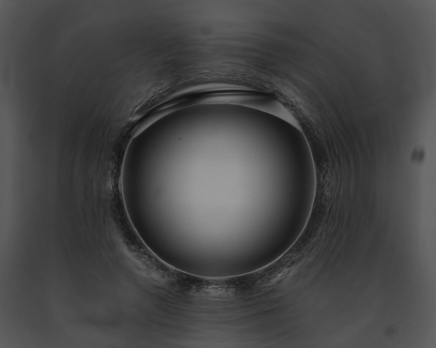 X0000091680546200708301522