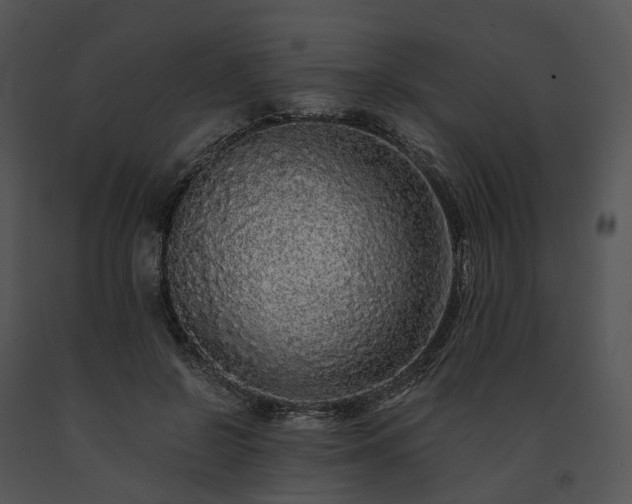 X0000091680550200708301522