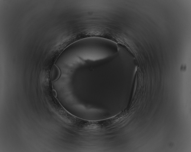 X0000091680551200708301522