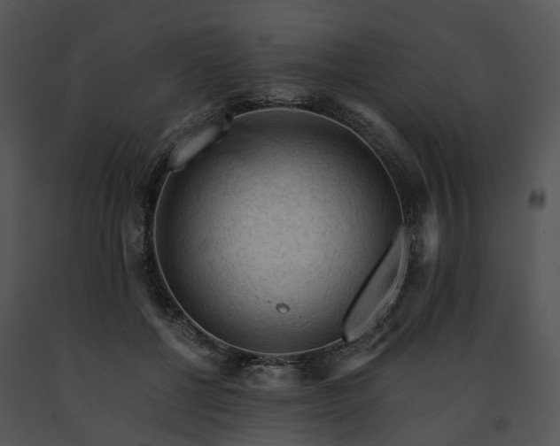 X0000091680552200708301522