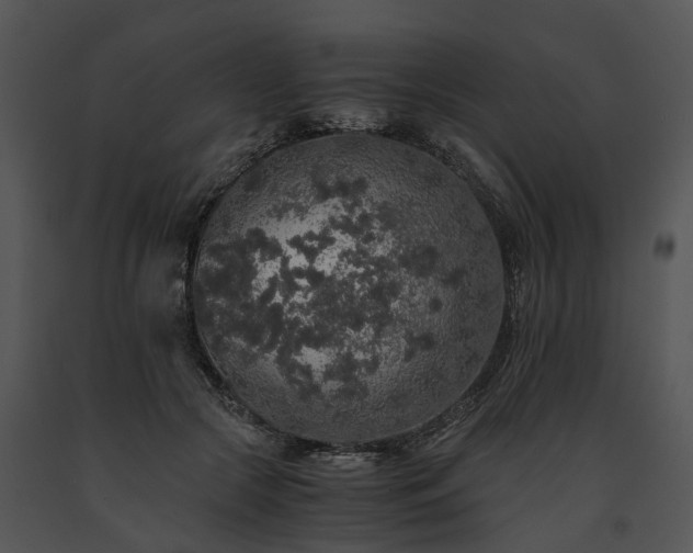 X0000091680553200708301522