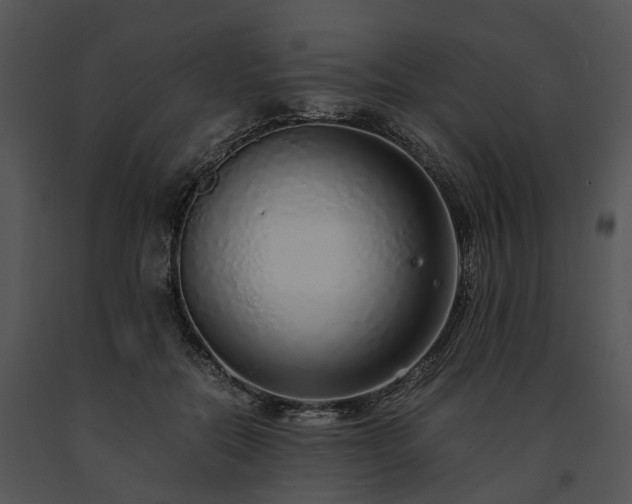 X0000091680554200708301522