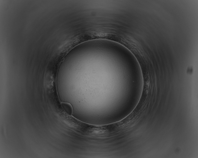 X0000091680555200708301522