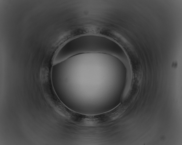 X0000091680556200708301522