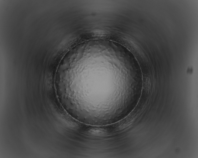 X0000091680557200708301522