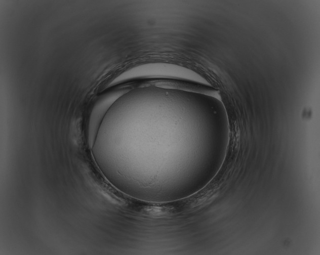X0000091680558200708301522
