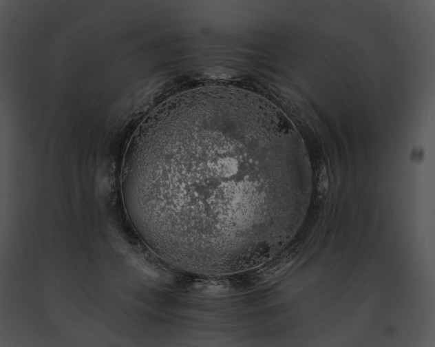 X0000091680559200708301522