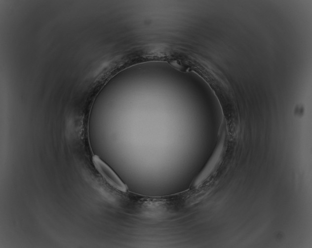 X0000091680560200708301522