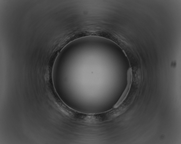 X0000091680562200708301522