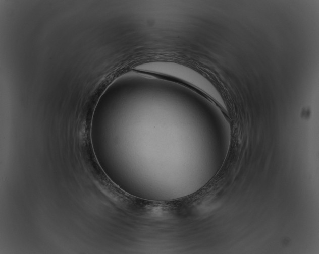 X0000091680564200708301522