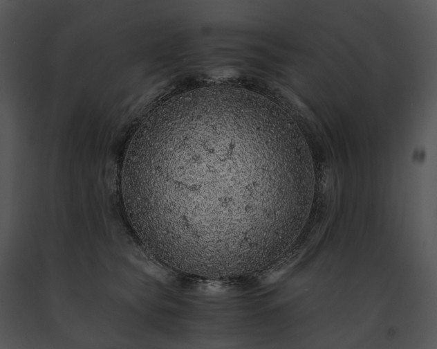 X0000091680565200708301522
