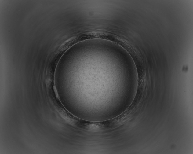 X0000091680566200708301522