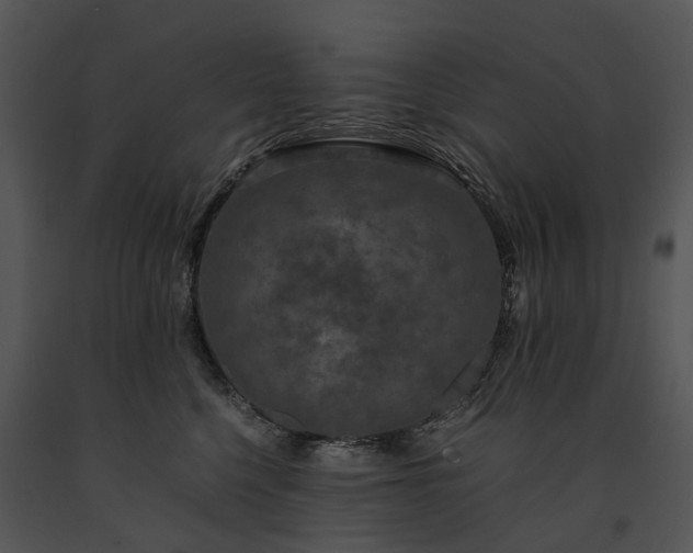 X0000091680568200708301522